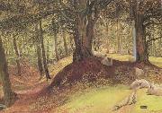 Richard Redgrave,RA Parkhurst Woods,Abinger (mk46) painting
